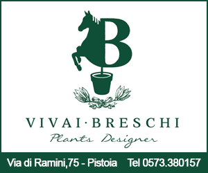 Vivai Breschi Pistoia - Specializzati in arte topiaria e allestimenti verdi per eventi