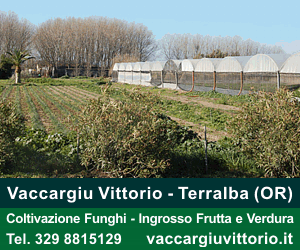 Vaccargiu Vittorio - Coltivazione Funghi - Ingrosso Frutta e Verdura