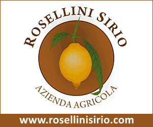 Agrumi Ornamentali e Olivi in Vaso Pescia Pistoia - Azienda Agricola Rosellini Sirio