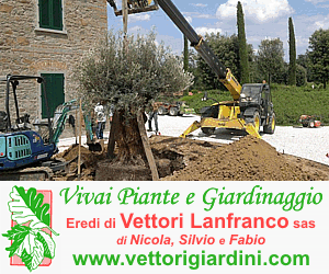 Vivai Piante e Giardinaggio - Giardini - Eredi Vettori Lanfranco Bottegone Pistoia