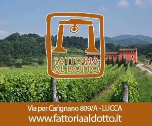 Fattoria Al Dotto - Cantina Vini a Lucca - Wine Tasting