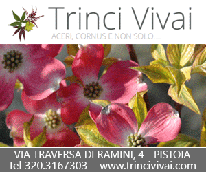 Trinci Vivai Pistoia - Specializzati in Aceri e Cornus