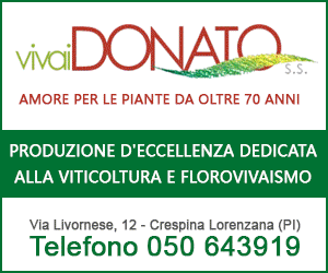 Vivai Donato a Crespina Lorenzana - Produzione per viticoltura e florovivaismo