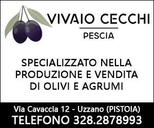 Vivaio Cecchi - Specializzato in Olivi e Agrumi - Vivaio a Uzzano, Pistoia