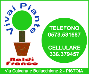 Vivai Piante Baldi Franco - Produzione e vendita Piante in vaso a Pistoia